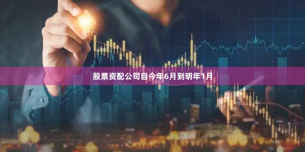 股票资配公司自今年6月到明年1月