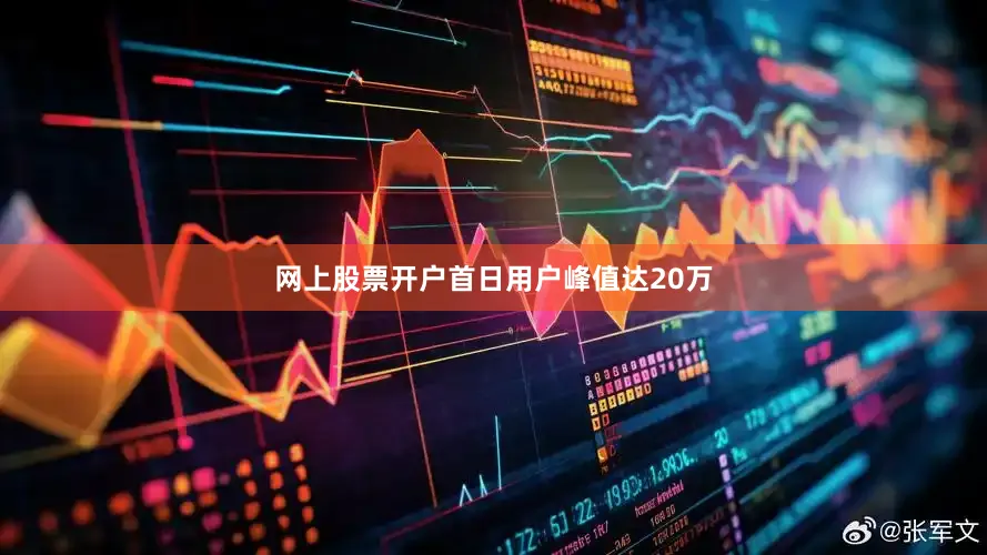 网上股票开户首日用户峰值达20万