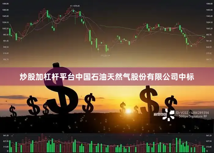 炒股加杠杆平台中国石油天然气股份有限公司中标