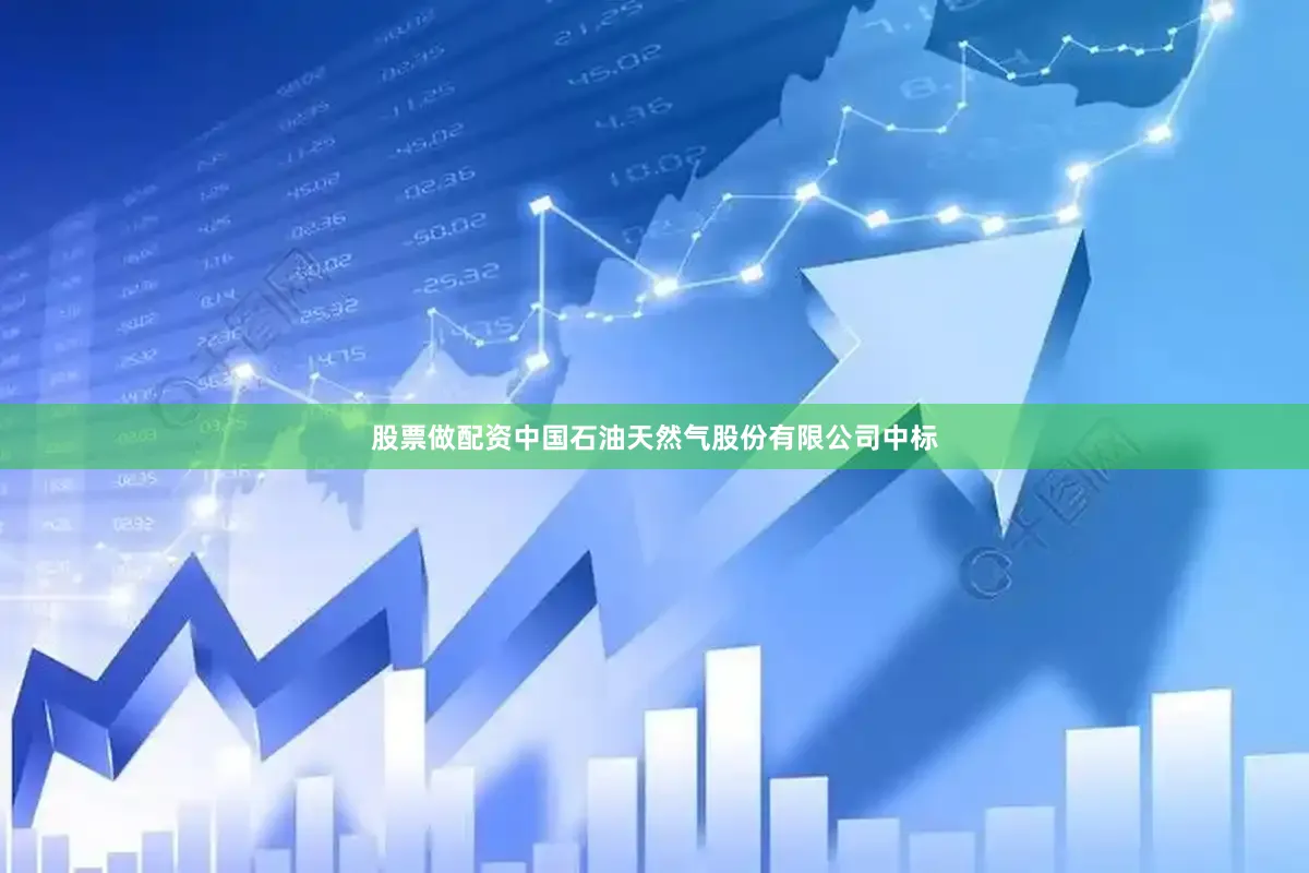 股票做配资中国石油天然气股份有限公司中标