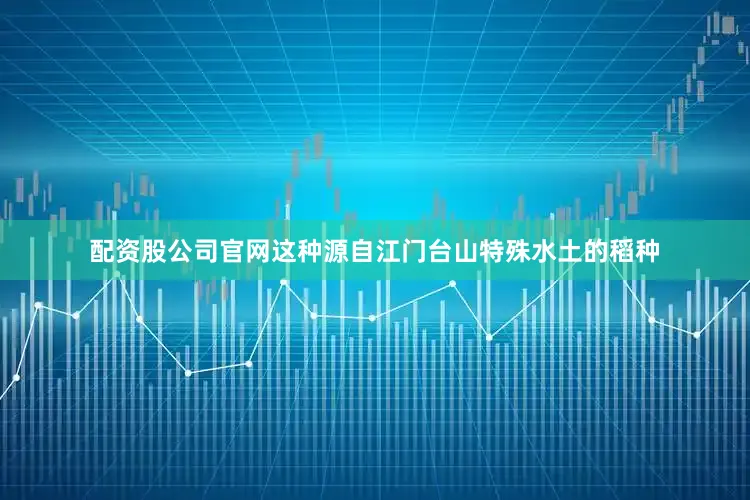 配资股公司官网这种源自江门台山特殊水土的稻种