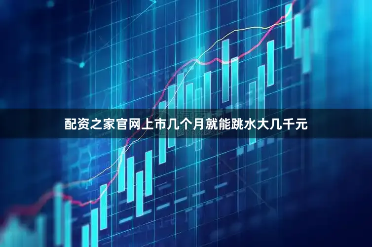 配资之家官网上市几个月就能跳水大几千元