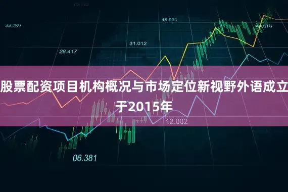 股票配资项目机构概况与市场定位新视野外语成立于2015年