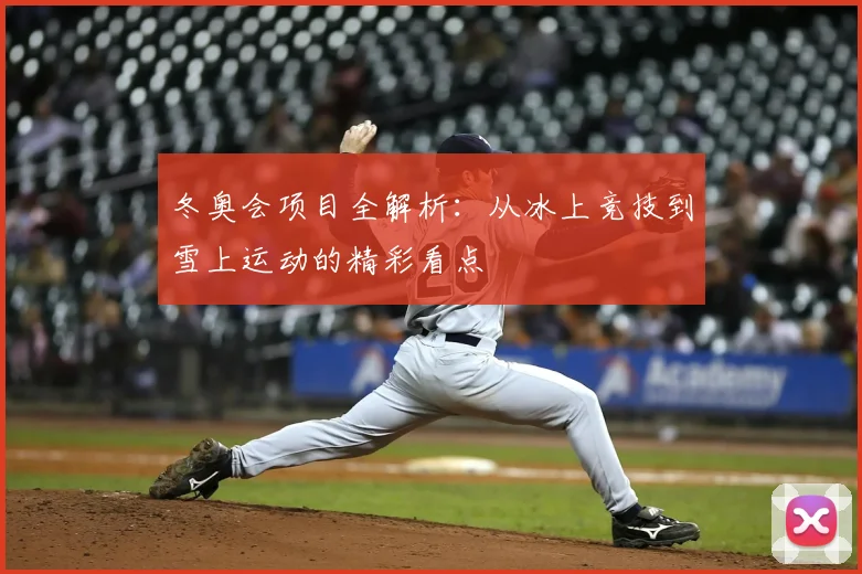 冬奥会项目全解析:从冰上竞技到雪上运动的精彩看点