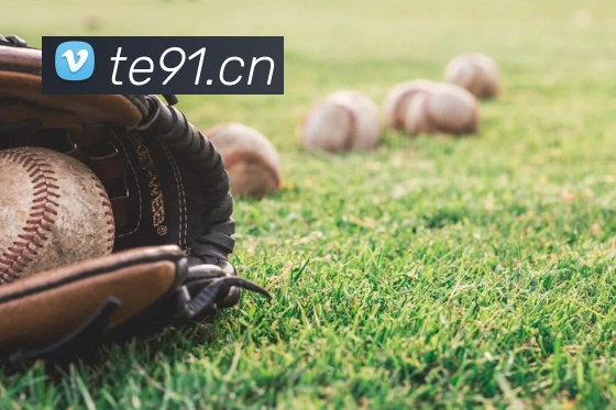 开云kaiyun官网平台生态图